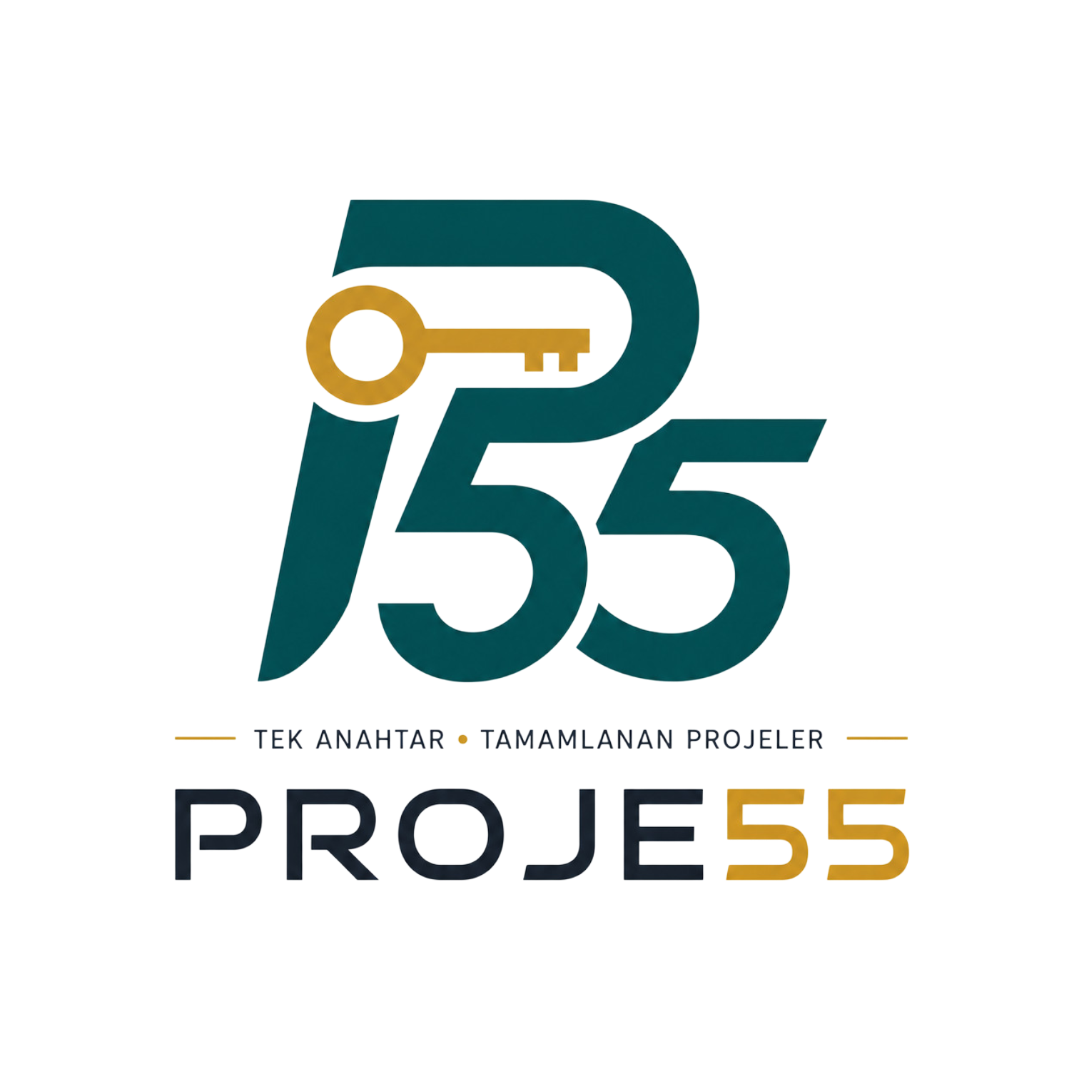 Proje55 — Anahtar Teslim Mekân Hazırlığı
